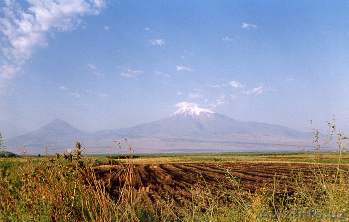 совхоз - Изображение #1, Объявление #3932