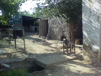 Dala hovli sotiladi! - Изображение #3, Объявление #733838