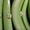 поставки бананов от производителя - Изображение #2, Объявление #481406